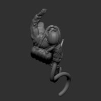 Rescue man - Thumbnail 10