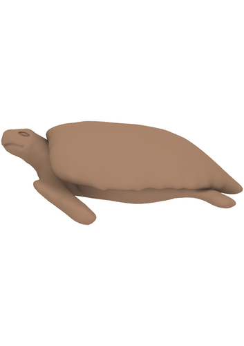 sea turtle 3D Print 486562