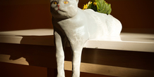 Image 487378