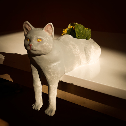 Cat Planter Pot Meme 3D Print 487379