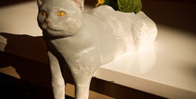 Image 487379