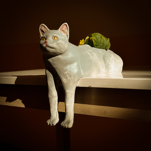 Cat Planter Pot Meme 3D Print 487380