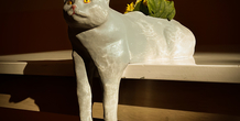 Image 487380