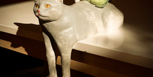 Image 487381