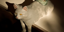 Image 487382