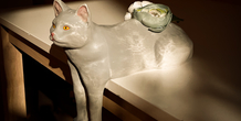 Image 487383
