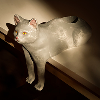 Cat Planter Pot Meme - Thumbnail 8