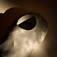 Cat Planter Pot Meme - Thumbnail 9