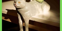 Image 487387
