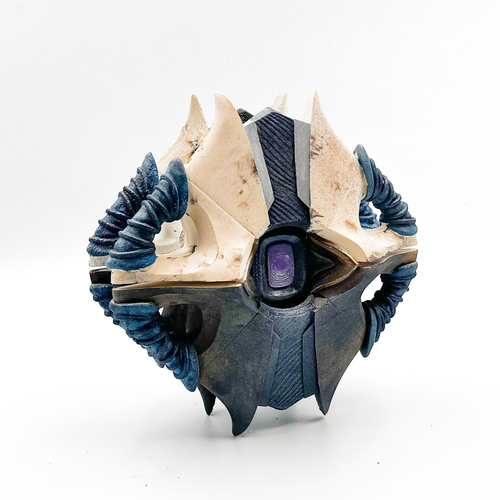 DESTINY 2 Starlight SHELL GHOST EXOTIC SHELL 3D Print 487448