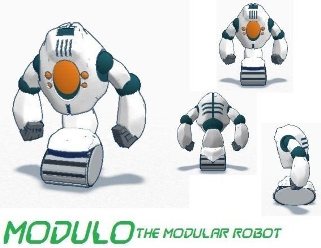 Modulo 3D Print 48817