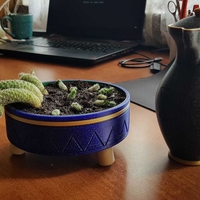 SHALLOW SUCCULENT PLANTER WITH LEGS - Thumbnail 2