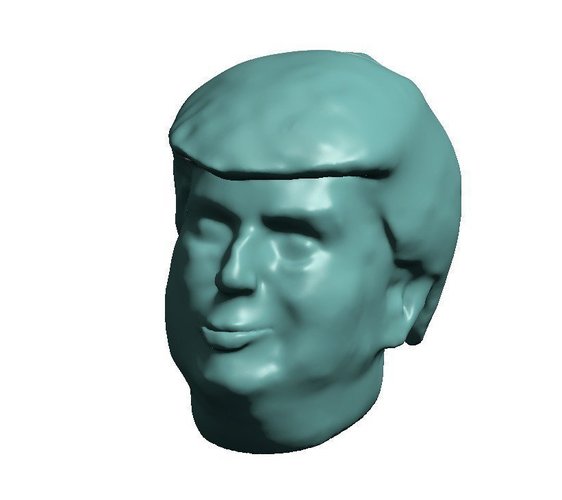 Donald Trump Head 3D Print 49089