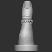 FINGER 3D PRINT MODEL STL  - Thumbnail 5