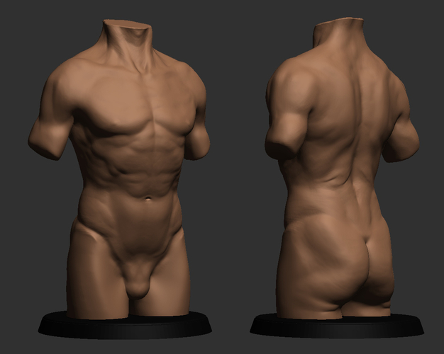 Realistic Torso 3D Print 491048