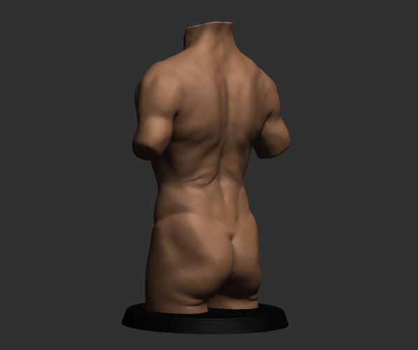 Realistic Torso 3D Print 491049