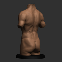 Realistic Torso - Thumbnail 2
