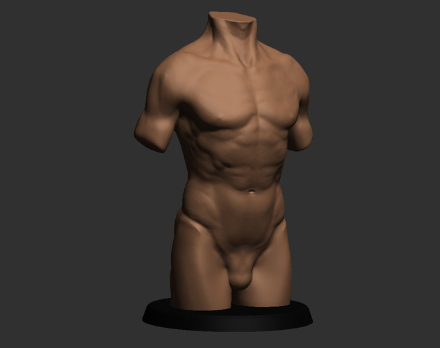 Realistic Torso 3D Print 491050