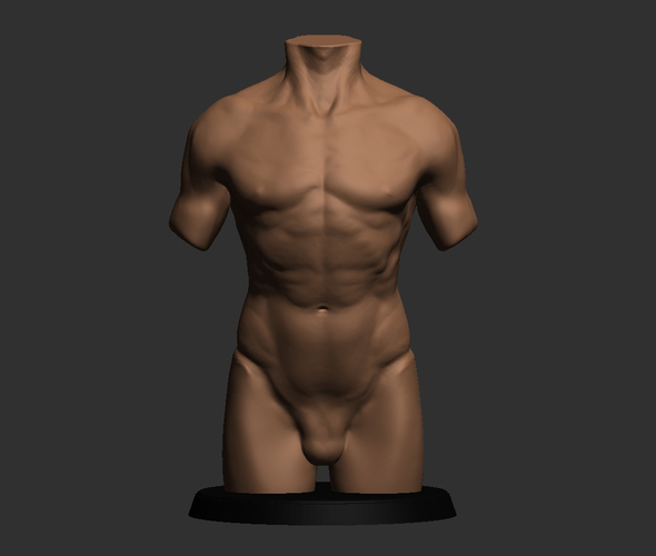 Realistic Torso 3D Print 491051