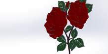 Image 491502