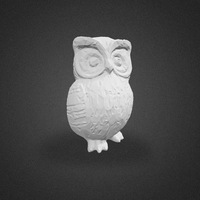 Small OWL 3D Printing 492045