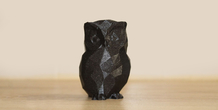 Image 492074