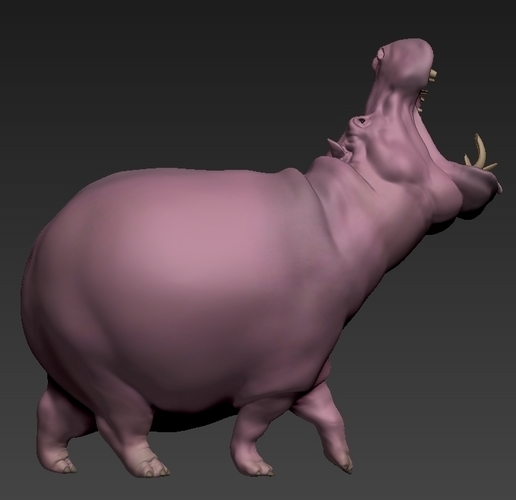 hippopotamus 3D Print 492325