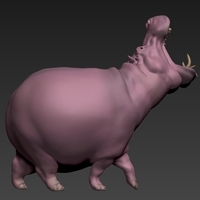 hippopotamus - Thumbnail 3