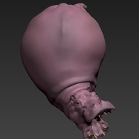 hippopotamus - Thumbnail 4