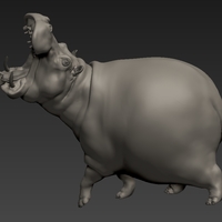 hippopotamus - Thumbnail 5