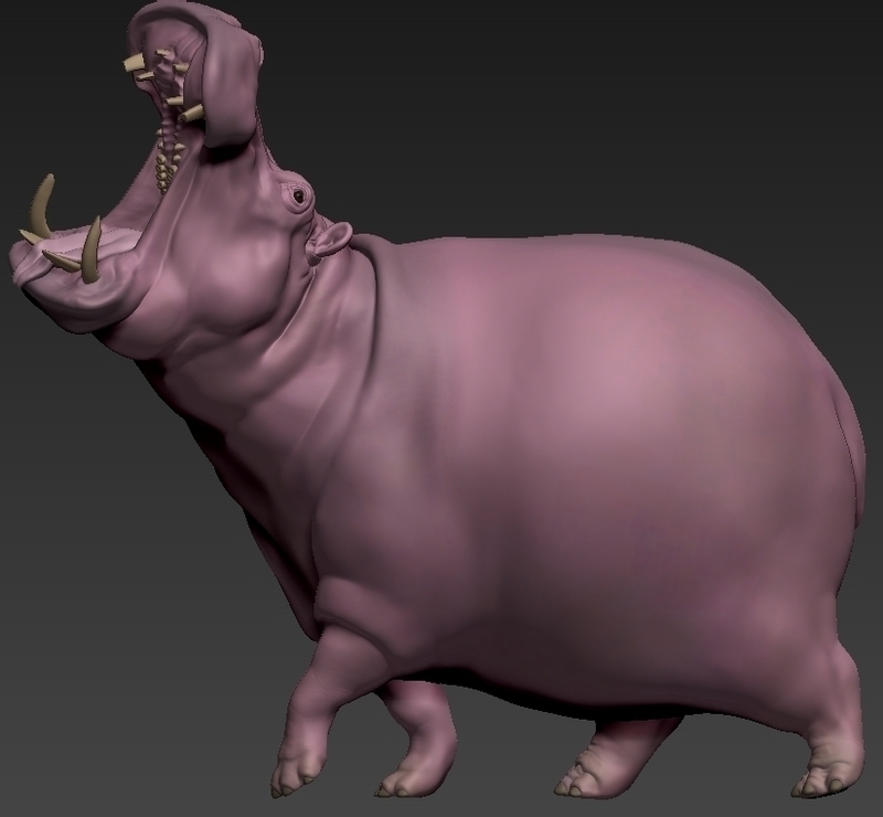 hippopotamus