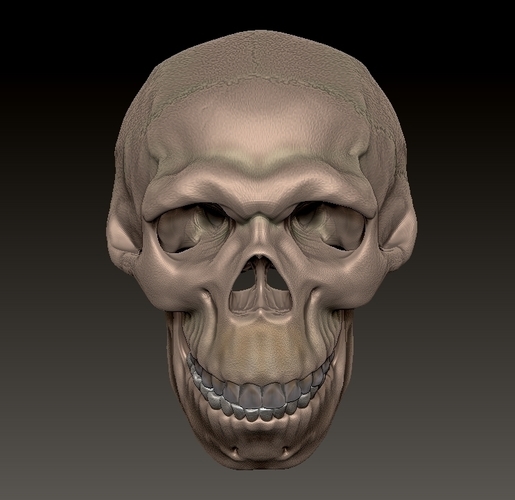 neanderthal skull 3D Print 492335