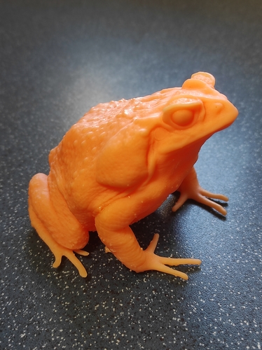 cane toad 3D Print 492339