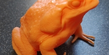 Image 492339