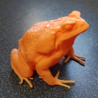 cane toad - Thumbnail 1