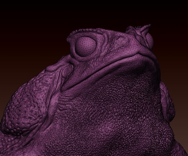 cane toad 3D Print 492343
