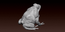 Image 492345