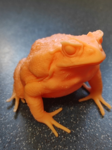 cane toad 3D Print 492346