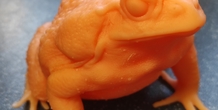 Image 492346