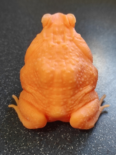 cane toad 3D Print 492348