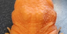 Image 492348