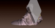 Image 492490