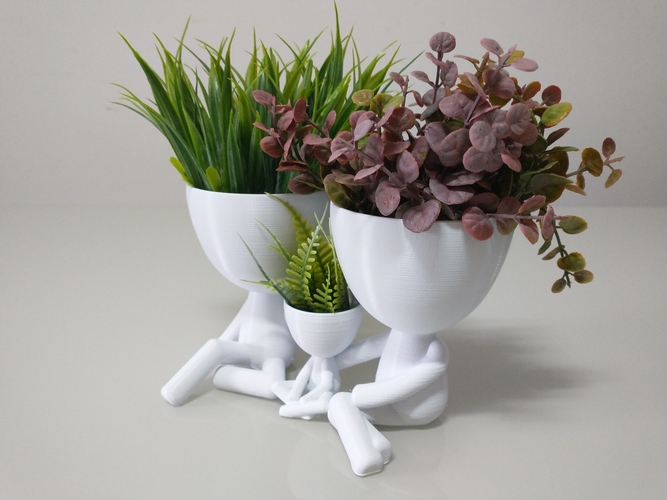 Robert Plant Family vase/planter 3D Print 492650