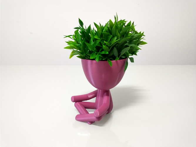 Robert Plant Meditating vase/planter 3D Print 492659