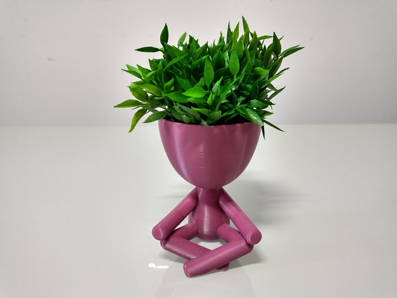 Robert Plant Meditating vase/planter