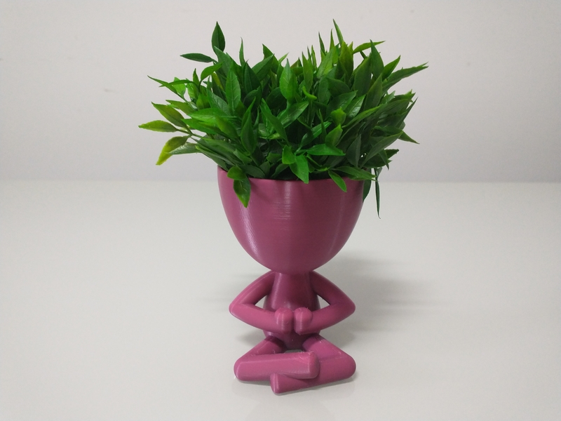 Robert Plant Meditating vase/planter