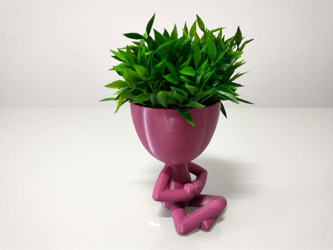 Robert Plant Meditating vase/planter 3D Print 492663