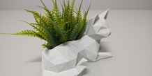 Image 492670