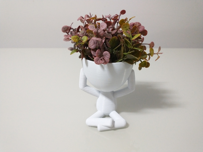 Robert Plant vase/planter - Three Wise Roberts 3D Print 492680