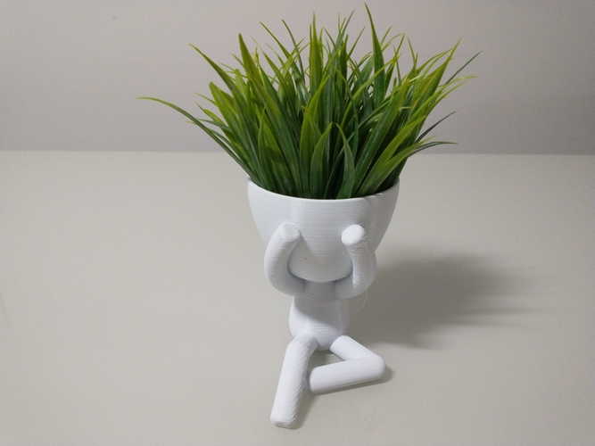 Robert Plant vase/planter - Three Wise Roberts 3D Print 492685